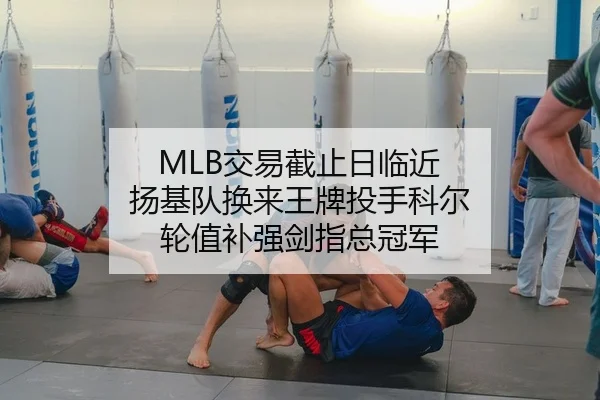 MLB交易截止日临近 扬基队换来王牌投手科尔 轮值补强剑指总冠军